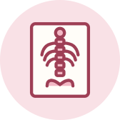 Yp Programma 200 Anatomia