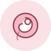 Yp Programma Grav Anatomia